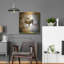 "High Country Elk" par Lightbox Journal sur-1348089370