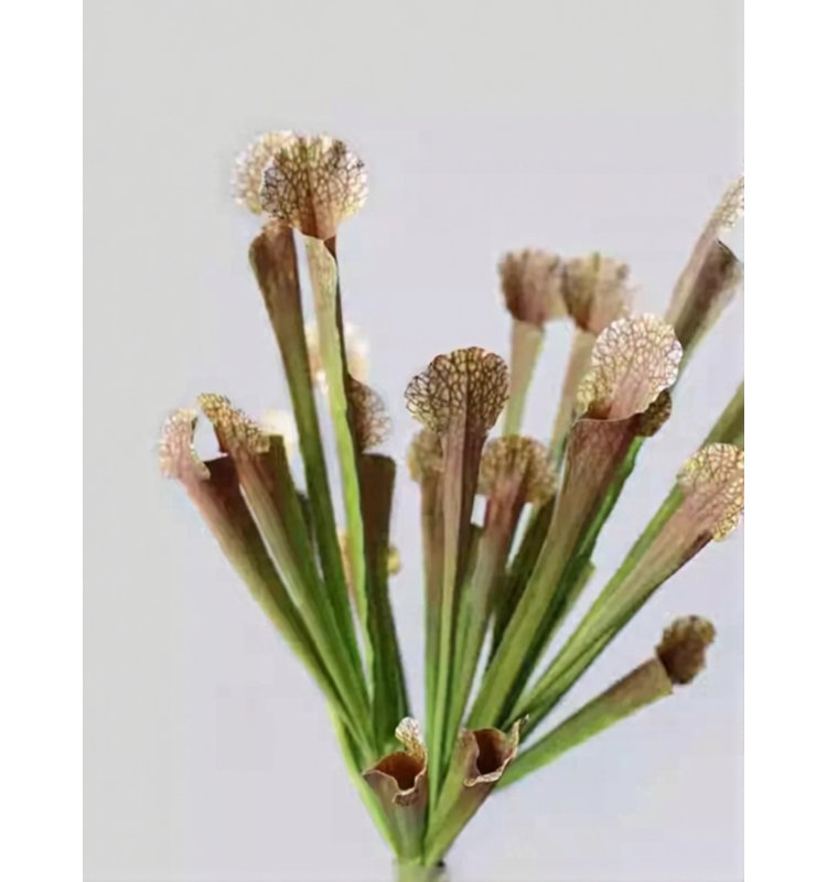 Potence botanique - 17,7 po, [D] 12 Stems