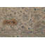 Tapis délavé 10 x 13