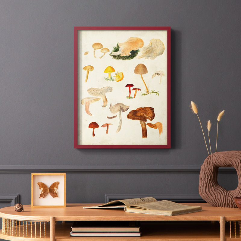 Reproduction encadrée de champignon Mushroom Species, H 10 po x l 8 po, Rouge
