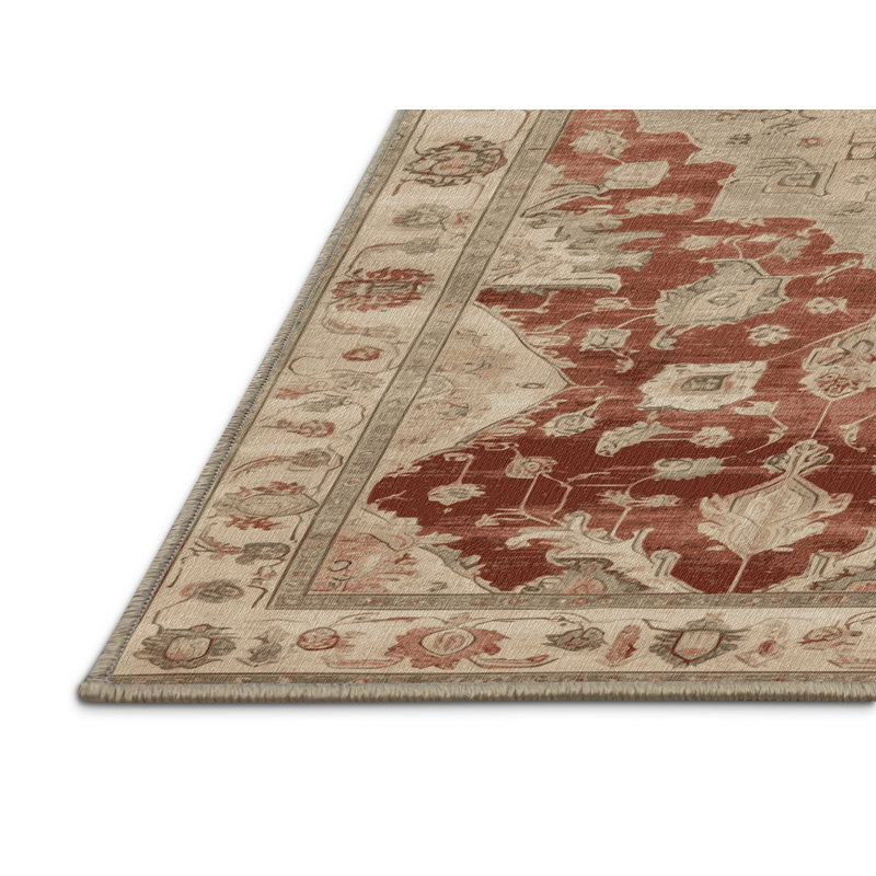 Tapis brun lavable à la machine, Rectangulaire 2 pi x 3 pi