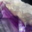 Cristal Coltyn