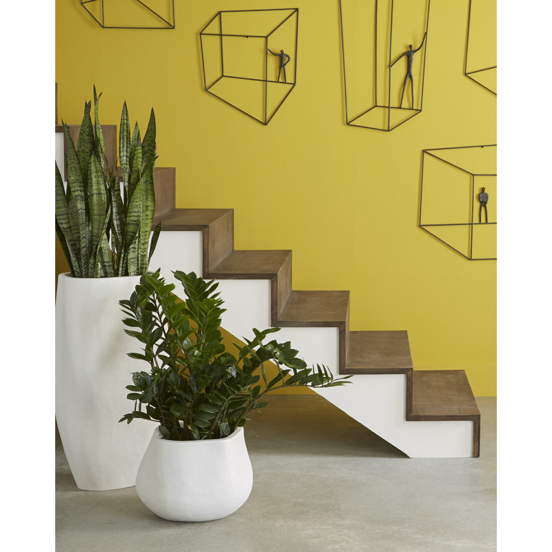 Claire Planter