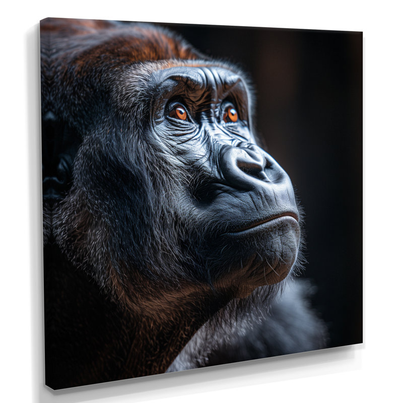 Profil de gorille sur fond noir uni II - art mural Gorillawall, Toile tendue, H 36 po x l 36 po x P 1,5 po