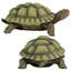 Statue de Gilbert, la tortue-boîte