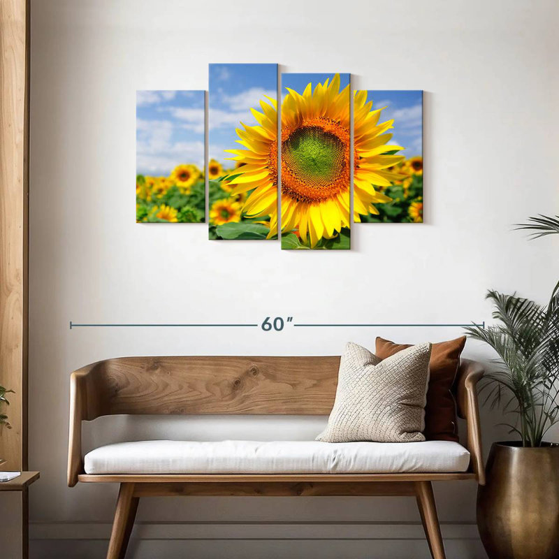 Champ de tournesols Harnek Akeno, H 27 po x l 43 po