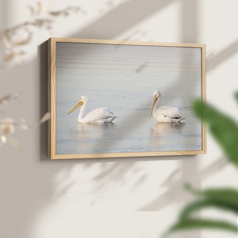 Pelican Pals - reproduction encadrée - réarmable, Naturel, H 11 po x l 14 po
