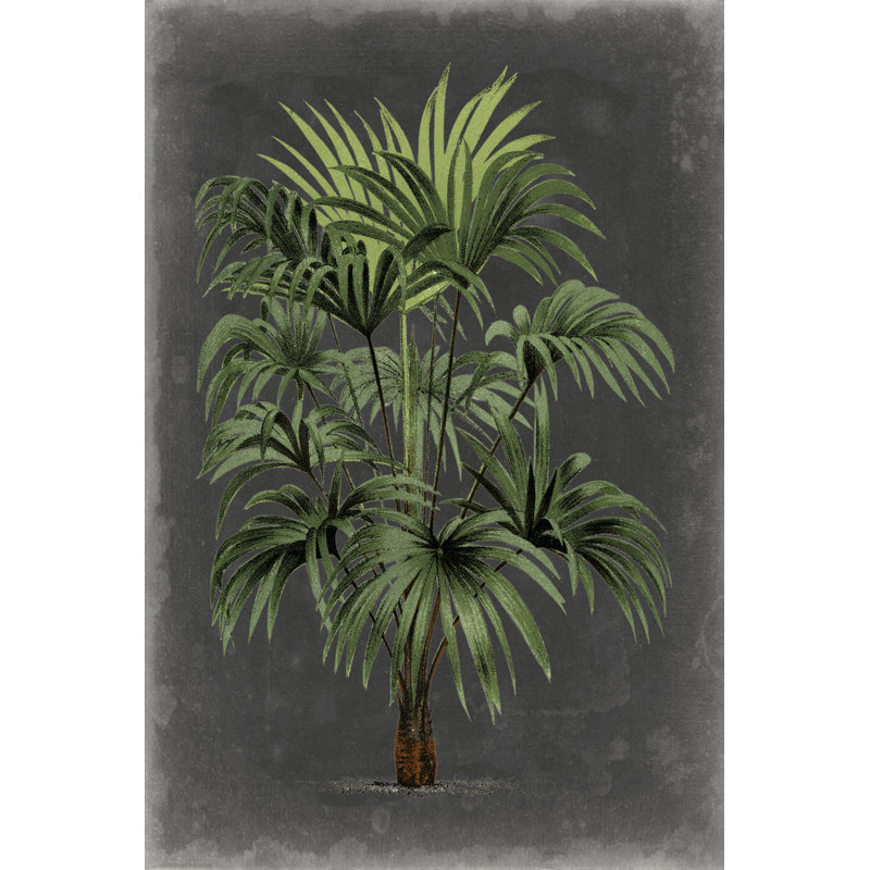 Dramatic Palm I by Vision Studio - Wrapped Canvas Painting, 46cm H x 30cm W x 3.8cm D