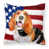 Basset Hound