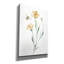 «Wild For Honeybloom Wildflowers 3» par Katrina Pete, art mural sur toile-802734727