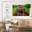 Orang-outan autoritaire-819663660