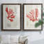 «Vintage Coral Study III», reproduction encadrée de qualité supérieure - prête à accrocher-329688269-329688257