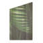 Emerald Exotic Embrace Palmscape I - palmiers et palmiers, art sur bois de pin naturel-317749285