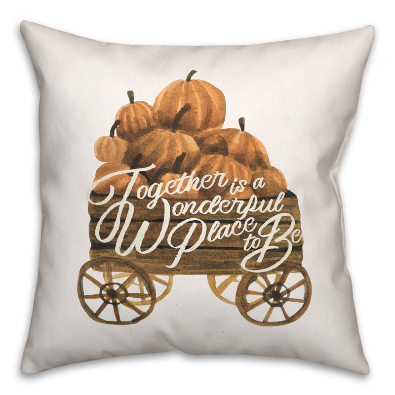  Square Pillow Cover & Insert
