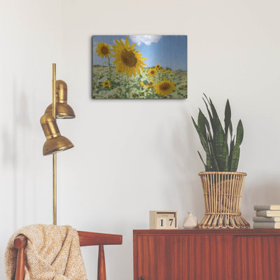«Sunflowers I» par Richard Silver
