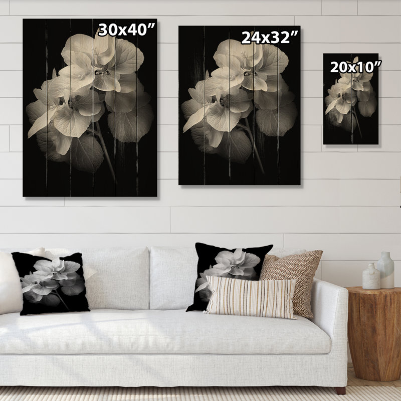 Hortensia noir et blanc Cessily I sur bois, H 32 po x l 24 po x P 0,78 po