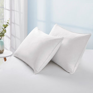 Kade Down Blend Medium Pillow (Set of 2)
