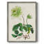AntiqueFloralFolioV III, reproduction encadrée - bois massif 2768844-465680267