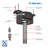 Baus 31.1'' Ceiling Fan with LED Lights