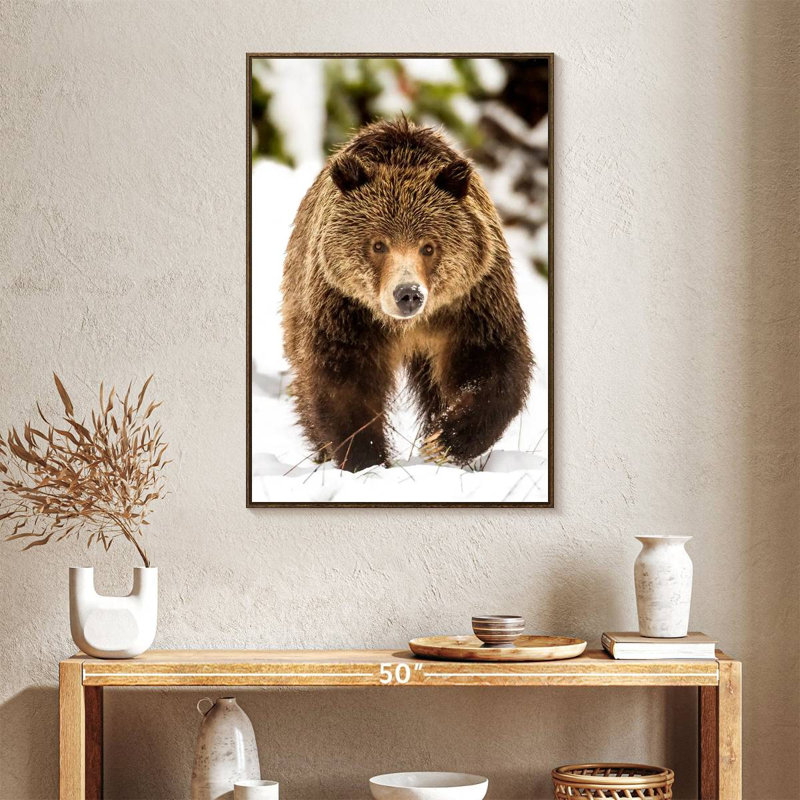 Ours grizzly qui marche, 25 po x 37 po, Cadre flottant noyer
