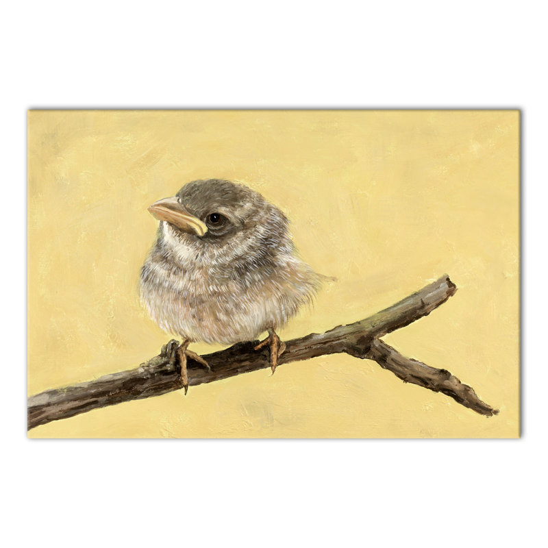 Little Bird - Print on Canvas, 20" H x 30" W, Wrapped Canvas