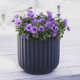 Allenville Fiberstone Planter