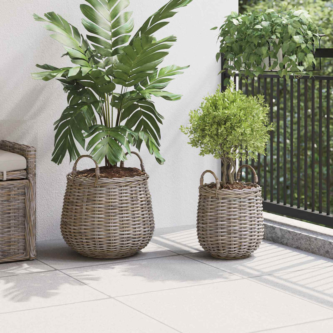 Planter Basket With Storage 2 Pcs Lacak Rattan Decorative Containers