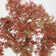 53.5" Artificial Maple Tree in Planter
