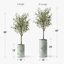 Arbre artificiel dans un pot de fleurs moderne, décoration d'arbre en soie d'olivier artificiel (pot et arbre)-407143834-424482373