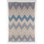 Tulane Chevron Hand Woven Area Rug-39204419