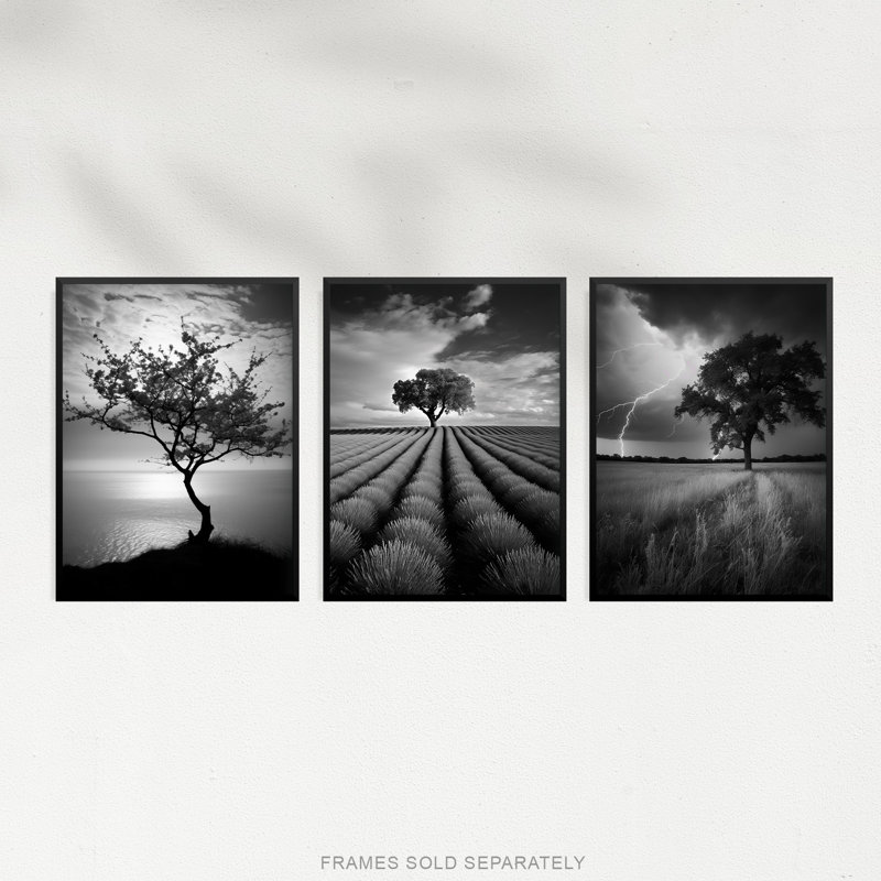 Lone Tree And Storm Clouds Black White Coastal Landscape - 3 Piece No Frame Print Set, 40.5cm H x 30.5cm W x 0.3cm D