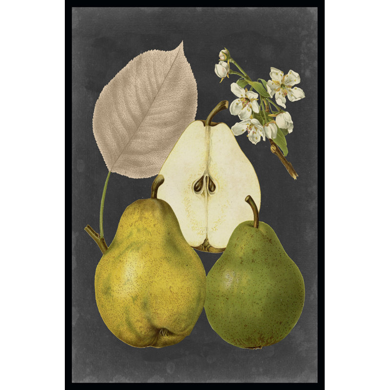 Midnight Harvest III by Vision Studio - Wrapped Canvas Print, 46cm H x 30cm W x 3.8cm D