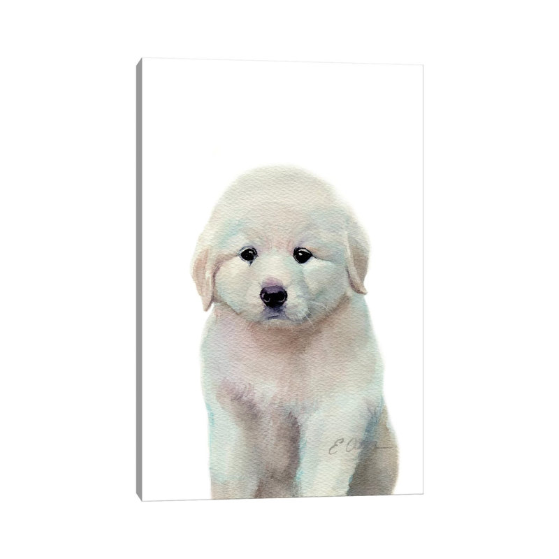 Great Pyrenees Puppy - Wrapped Canvas Print, 30.48cm H x 20.32cm W x 1.91cm D