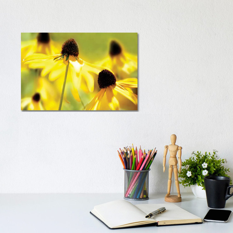 Susan Study II by James McLoughlin - Wrapped Canvas Print, 20.32 cm H x 30.48 cm W