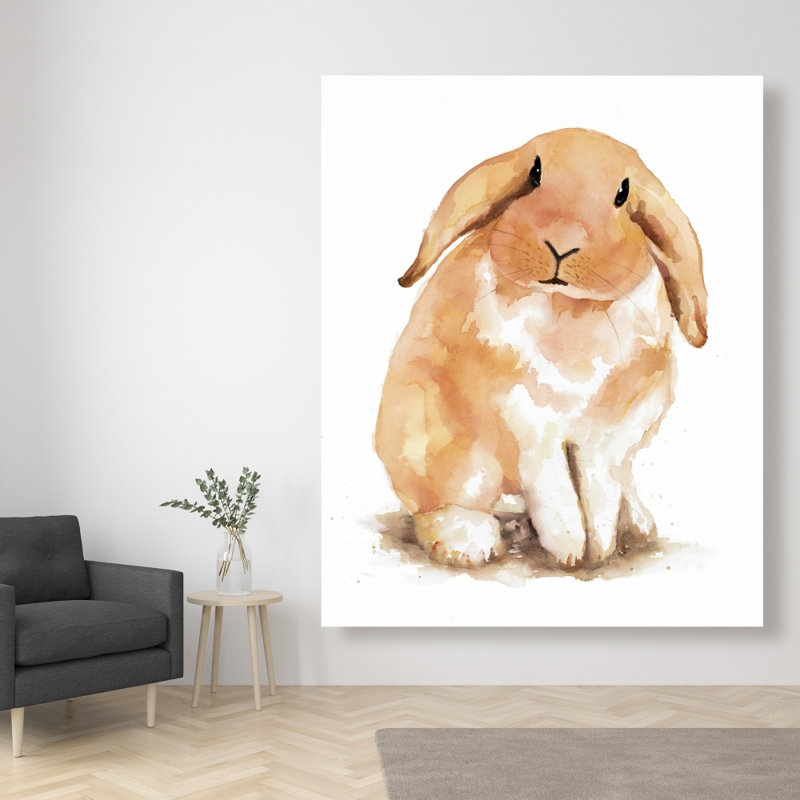 Lop-rabbit - Toile illustrative pour animaux de compagnie