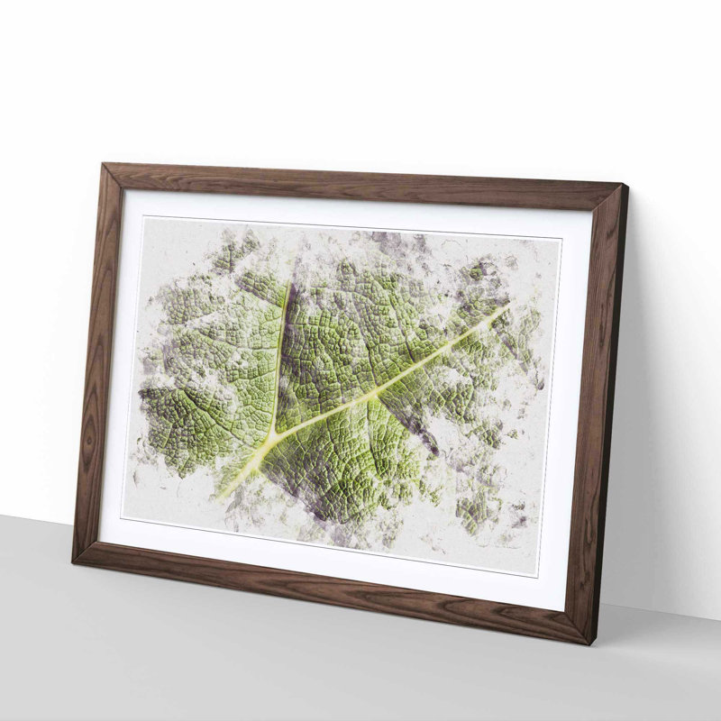 Paths of the Leaf - Framed Print, Walnut Framed, 33cm H x 45cm W x 2cm D