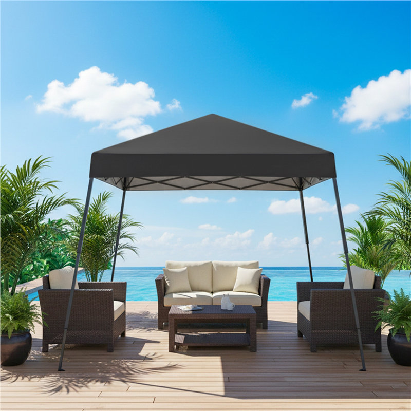 3x3 M Pop Up Canopy Outdoor Tent with Carry Bag, Black
