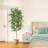 Adcock Artificial Ficus Tree in Pot with Realistic Leaves and Natural Trunk-1524888329
