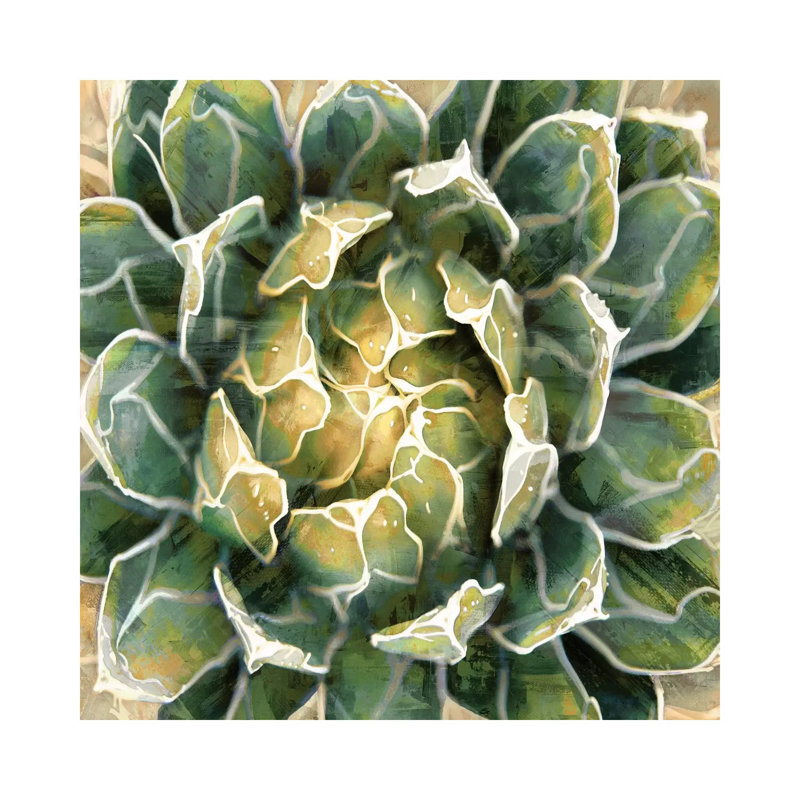 Succulent III 1 Piece Wrapped Canvas Wall Art, 93.98 cm H x 93.98 cm W x 3.175 cm D