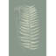 «Ferns on Sage VIII», peinture sur toile-1162627568