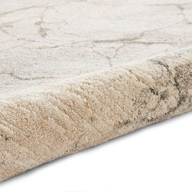 Barthel Shaggy area rug Machine Woven Rectangle Silver, Rectangle 120 x 170cm