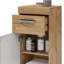 Hoytville Bathroom Cabinet