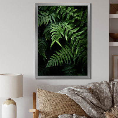 Breonna Ferns Plant Mystical Shadows I sur impression sur toile