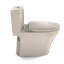 Aquia® Dual-Flush Elongated One-Piece Toilet with Tornado Flush (Seat Included)