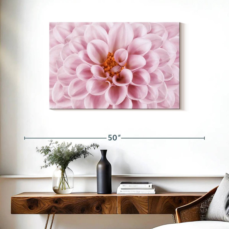 Dahlia rose Harnek, H 24 po x l 36 po