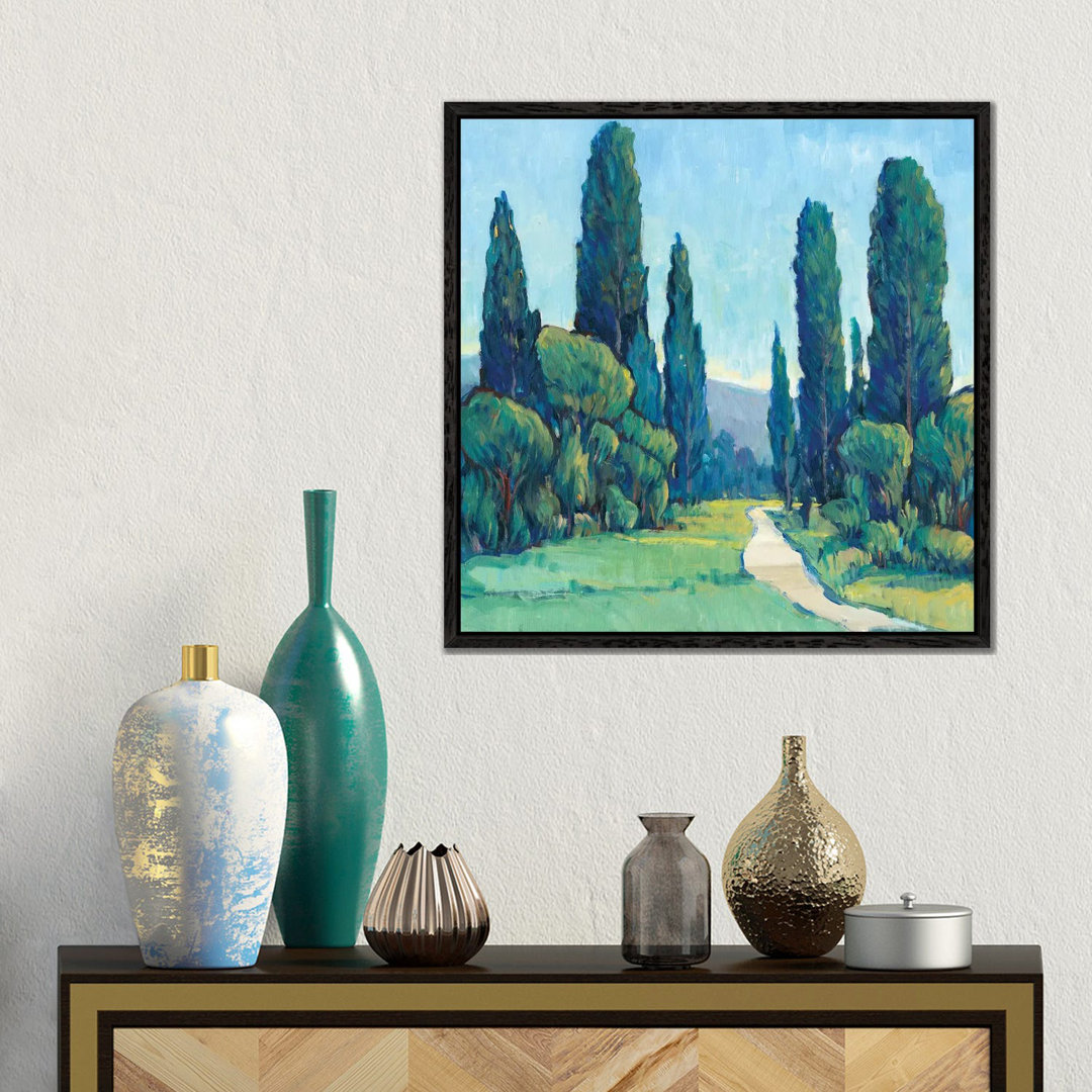 Cypress Path II von Tim OToole - Galerieverpackte Leinwand Giclée auf Leinwand