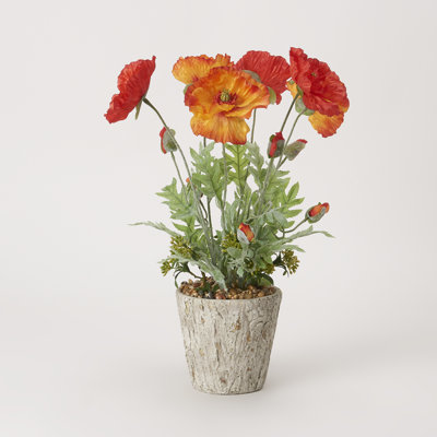 22'' Faux Poppies Plant in Cement Planter