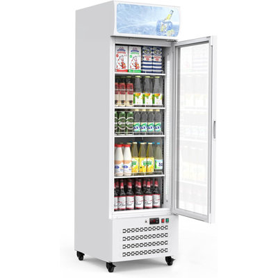 Commercial Display Refrigerator, Dual-Layer Glass, 11.3 CF, LED Lighting, Adjustable Shelves, Beverage Cooler for Shop, Restaurant, Convenience Store, White