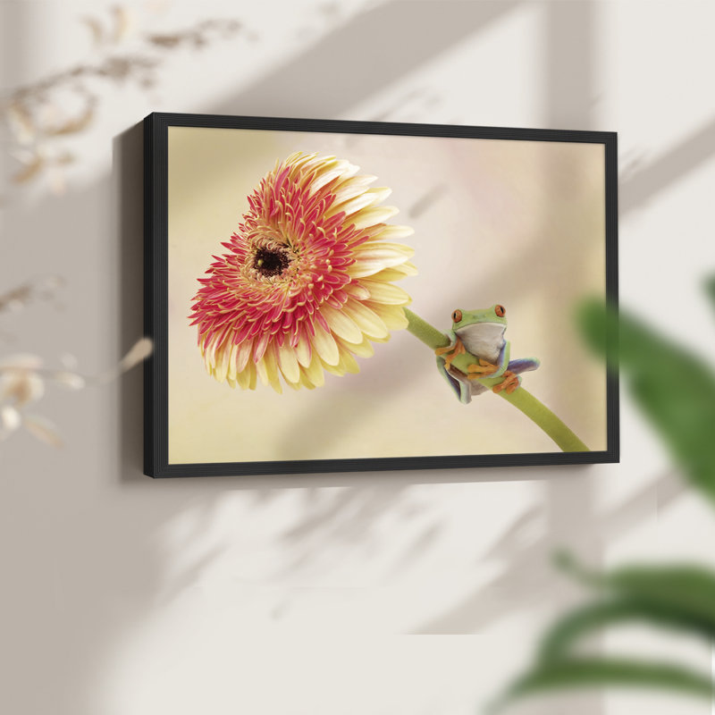 Hanging On IX -Framed Print - Restickable, Black, 16" H x 20" W