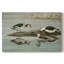 Vintage Animal XIX - impression-171266216-171266263